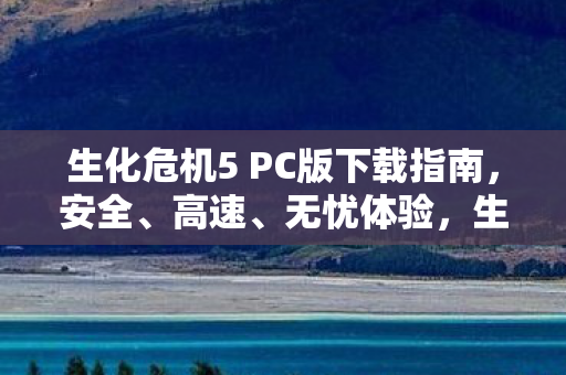 生化危机5 PC版安全高速下载指南图片