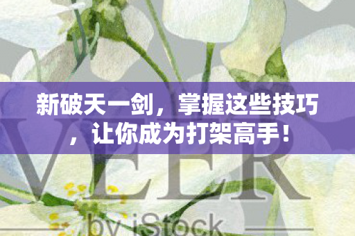 让你成为打架高手图片