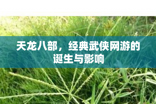 经典武侠网游的诞生与影响图片