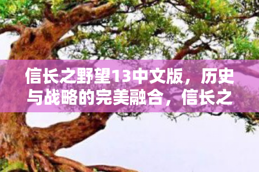 信长之野望13中文版图片