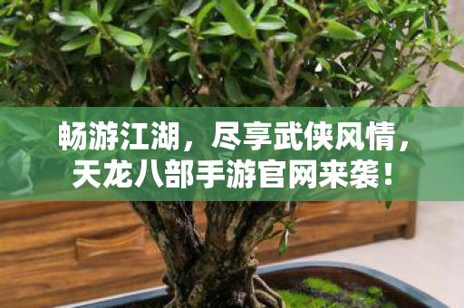 天龙八部手游官网来袭图片