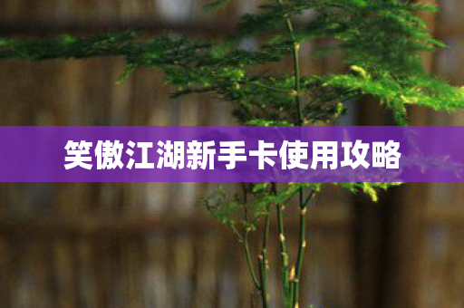 笑傲江湖新手卡使用攻略图片