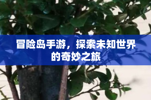 探索未知世界的奇妙之旅图片