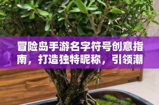 冒险岛手游名字符号创意指南图片