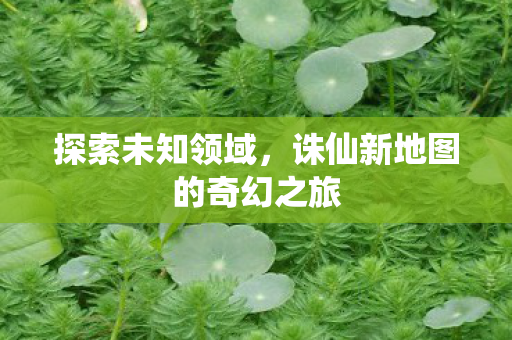 诛仙新地图的奇幻之旅图片