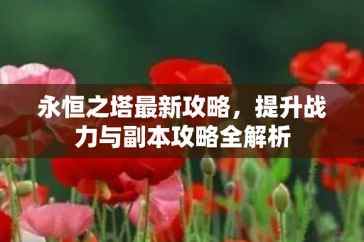 永恒之塔最新攻略,提升战力与副本攻略全解析 永恒之塔最新攻略,提升战力与副本攻略全解析