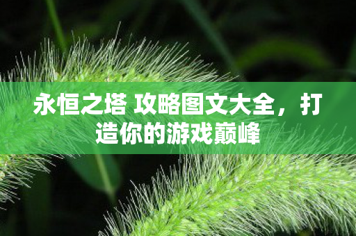 永恒之塔 攻略图文大全，打造你的游戏巅峰