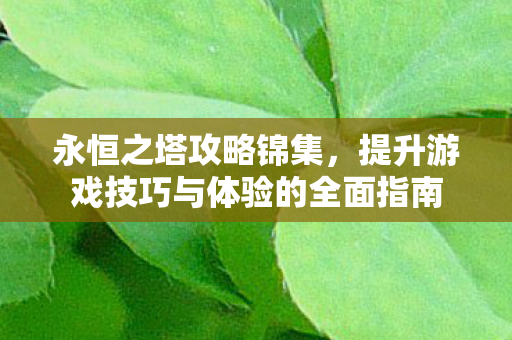 永恒之塔攻略锦集，提升游戏技巧与体验的全面指南