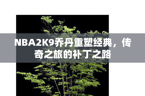 NBA2K9乔丹重塑经典图片