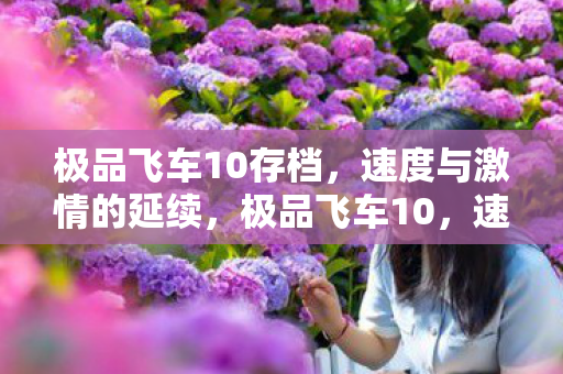 极品飞车10存档，速度与激情的延续，极品飞车10，速度与激情的存档