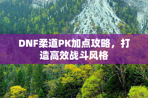 DNF柔道PK加点攻略图片