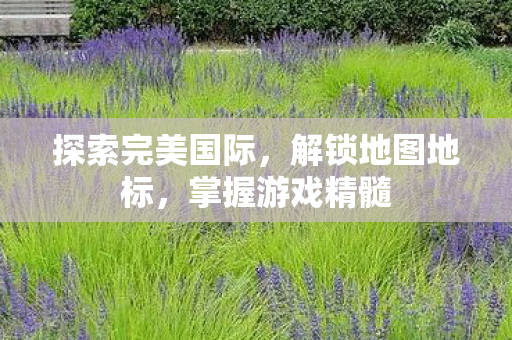 探索完美国际图片