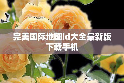 完美国际地图id大全最新版下载手机图片