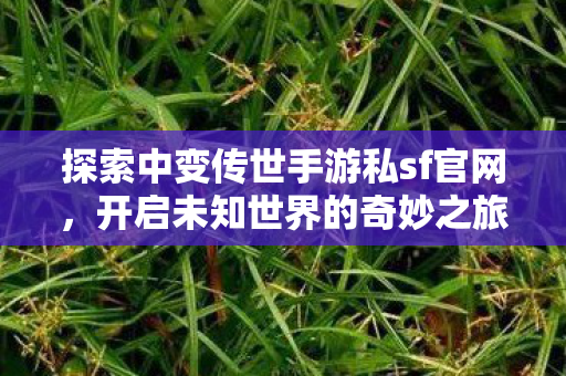 探索中变传世手游私sf官网图片