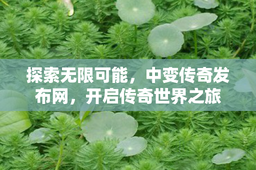 开启传奇世界之旅图片