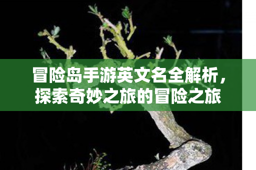 冒险岛手游英文名全解析图片