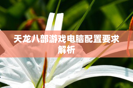 天龙八部游戏电脑配置要求解析图片