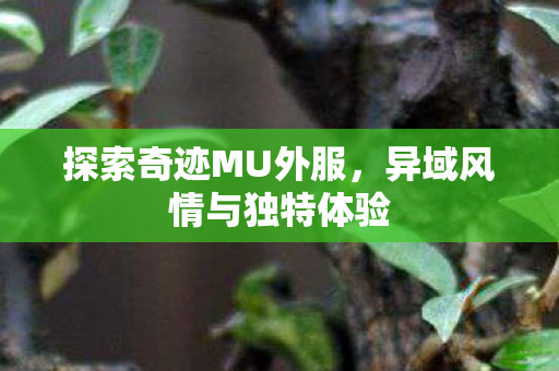 探索奇迹MU外服,异域风情与独特体验 探索奇迹MU外服,异域风情与独特体验