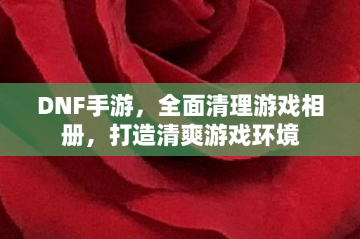 全面清理游戏相册图片