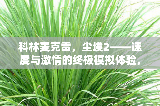 速度与激情的终极模拟体验图片