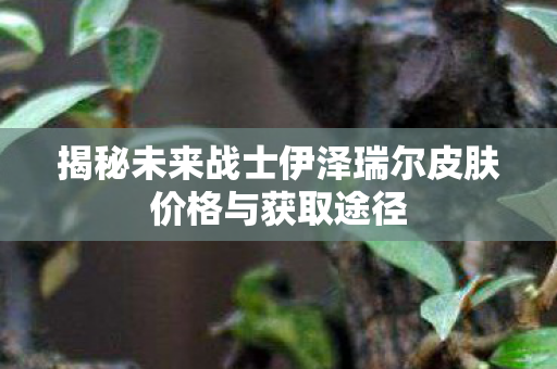 揭秘未来战士伊泽瑞尔皮肤价格与获取途径图片