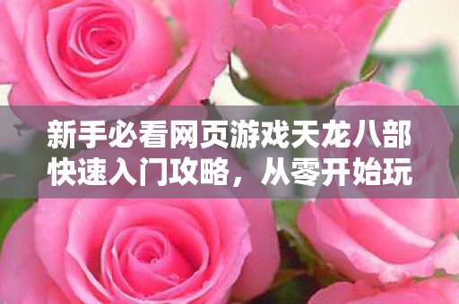 新手必看网页游戏天龙八部快速入门攻略图片