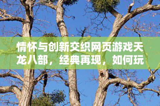 情怀与创新交织网页游戏天龙八部图片