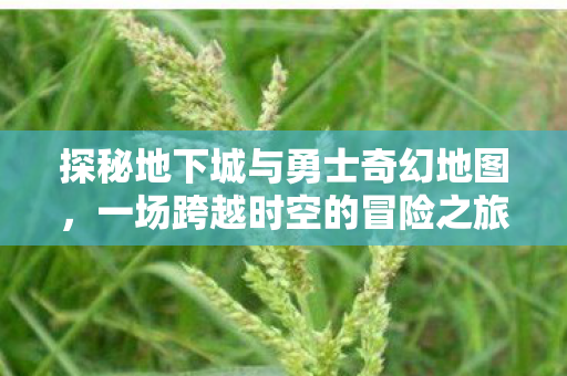 探秘地下城与勇士奇幻地图图片