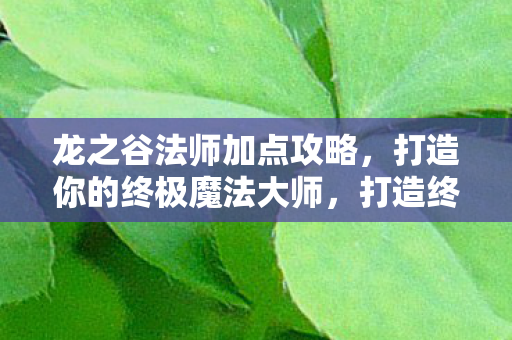 打造你的终极魔法大师图片