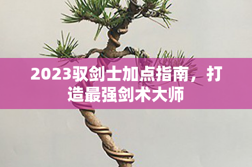 2023驭剑士加点指南图片