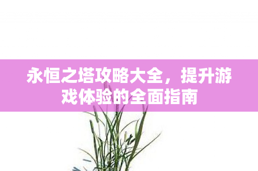 永恒之塔攻略大全，提升游戏体验的全面指南