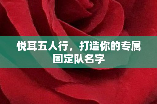 打造你的专属固定队名字图片