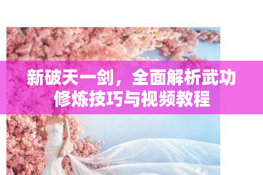 全面解析武功修炼技巧与视频教程图片