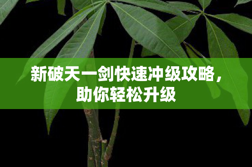 新破天一剑快速冲级攻略图片