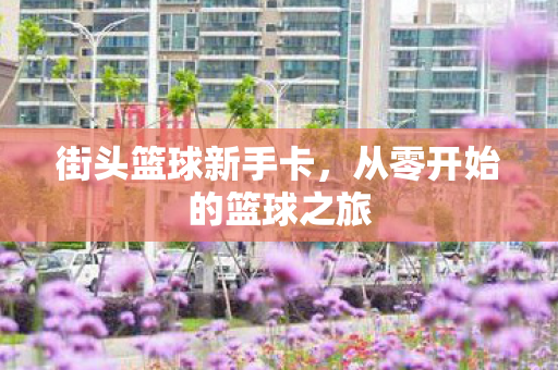 从零开始的篮球之旅图片