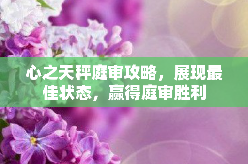 心之天秤庭审攻略图片
