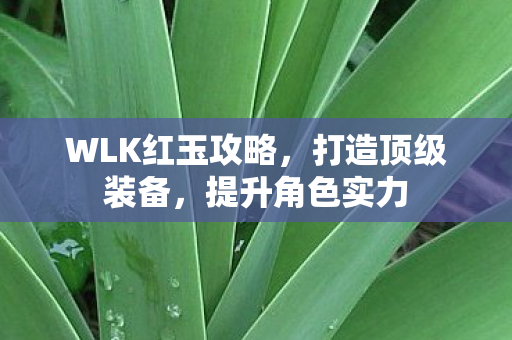 WLK红玉攻略图片