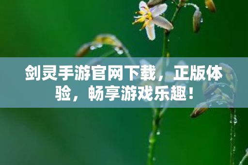 剑灵手游官网下载图片