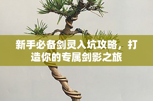 新手必备剑灵入坑攻略图片