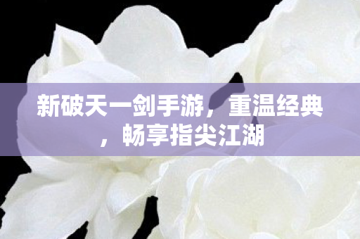 新破天一剑手游图片
