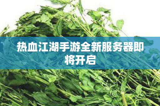 热血江湖手游全新服务器即将开启图片