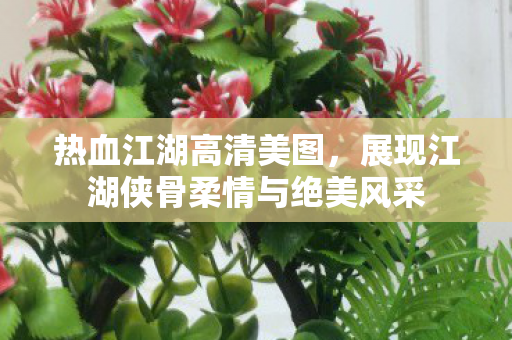展现江湖侠骨柔情与绝美风采图片