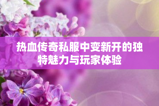 热血传奇私服中变新开的独特魅力与玩家体验图片