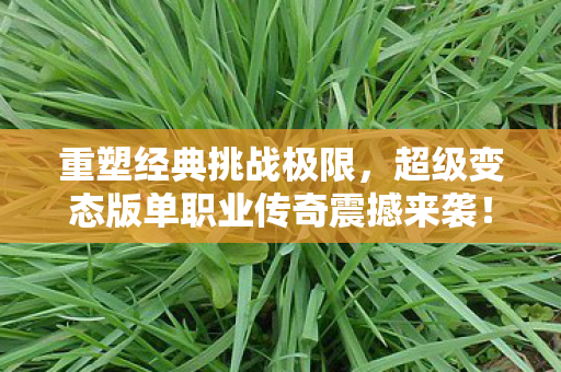 超级变态版单职业传奇震撼来袭图片