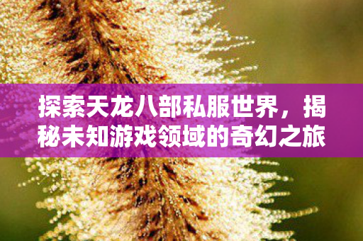 揭秘未知游戏领域的奇幻之旅图片