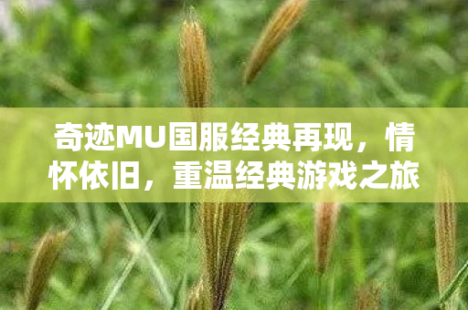 奇迹MU国服经典再现,情怀依旧,重温经典游戏之旅! 奇迹MU国服经典再现,情怀依旧,重温经典游戏之旅!