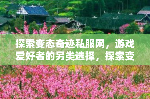 游戏爱好者的另类选择图片