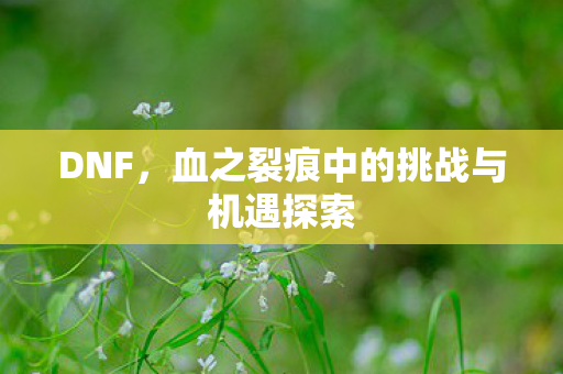 血之裂痕中的挑战与机遇探索图片