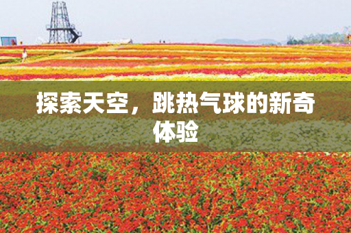 跳热气球的新奇体验图片