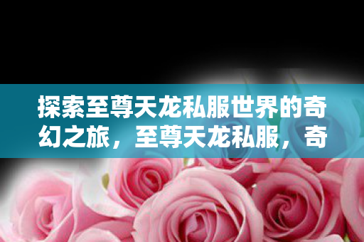 探索至尊天龙私服世界的奇幻之旅图片